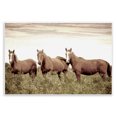 thumbnail image 1 of Stupell Industries Horse Trio Gaze Animals Painting Unframed Art Print Wall Art, 15 x 10, 1 of 8