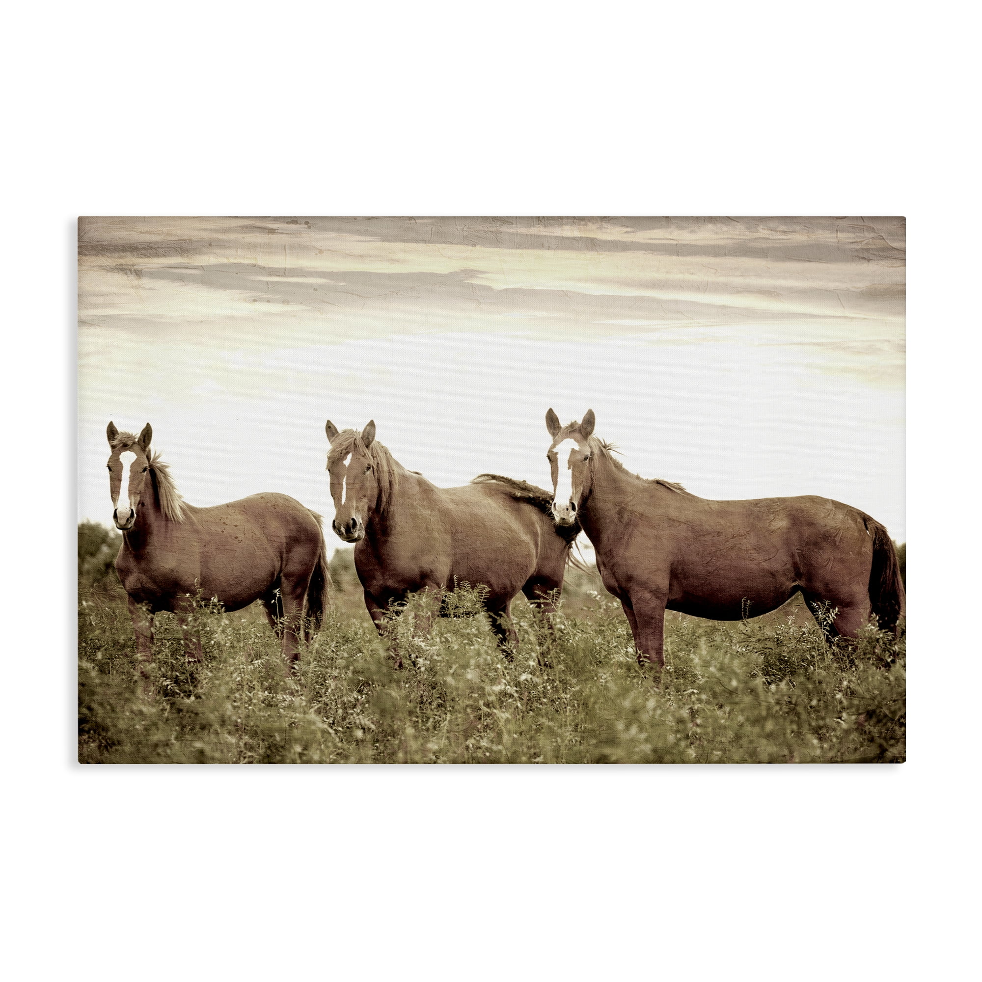 Stupell Industries Horse Trio Gaze Animals Painting Wrapped Canvas Art Print Wall Art, 45 x 30