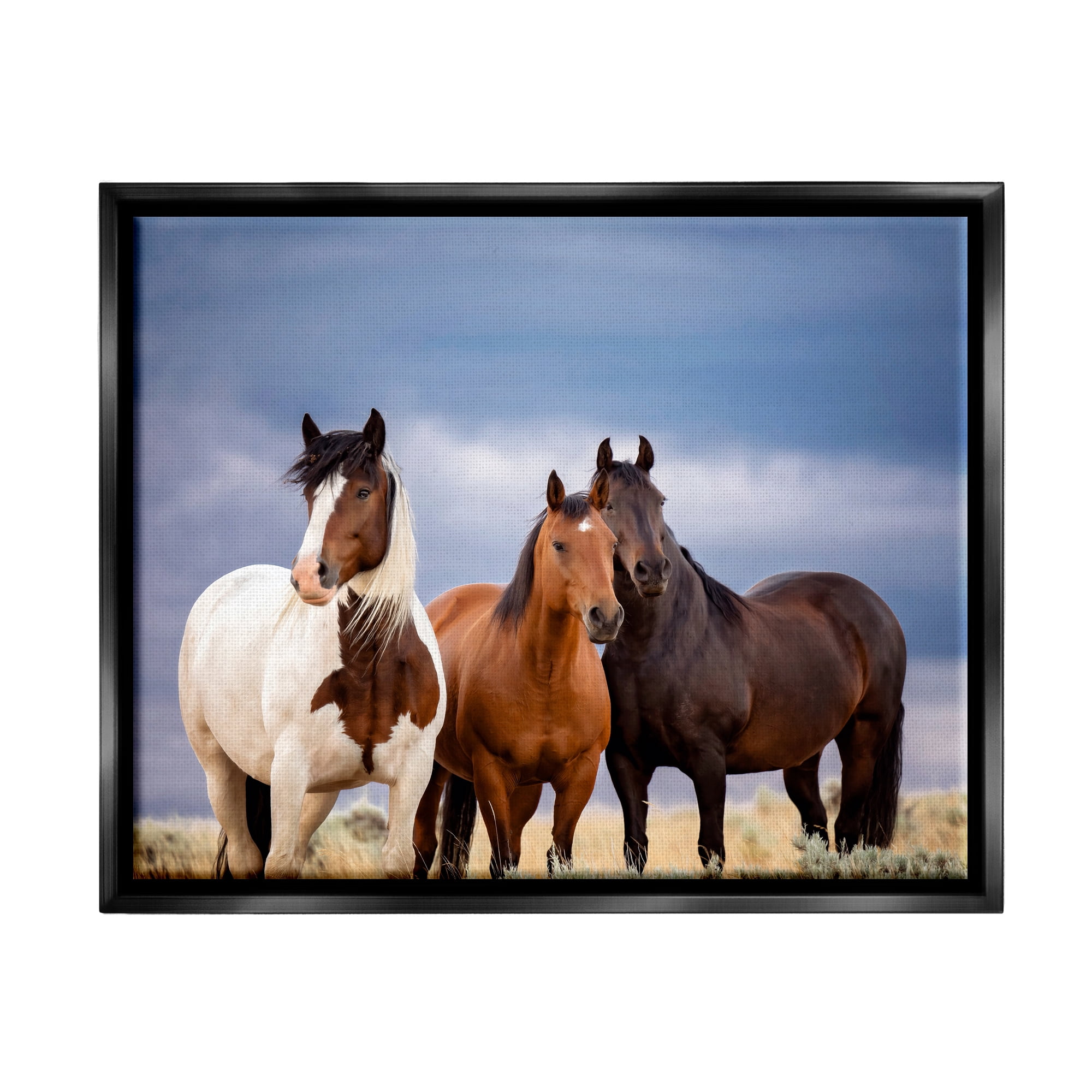 Stupell Industries Horse Trio Under Clouds Animals & Insects Photography Black Floater Framed Canvas Art Print Wall Art, 21 x 17