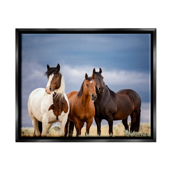Stupell Industries Horse Trio Under Clouds Animals & Insects Photography Black Floater Framed Canvas Art Print Wall Art, 31 x 25