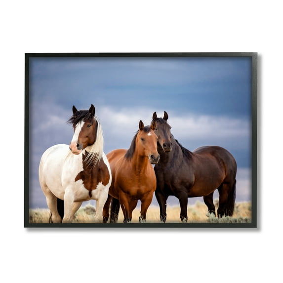 Stupell Industries Horse Trio Under Clouds Animals & Insects Photography Black Framed Art Print Wall Art, 14 x 11