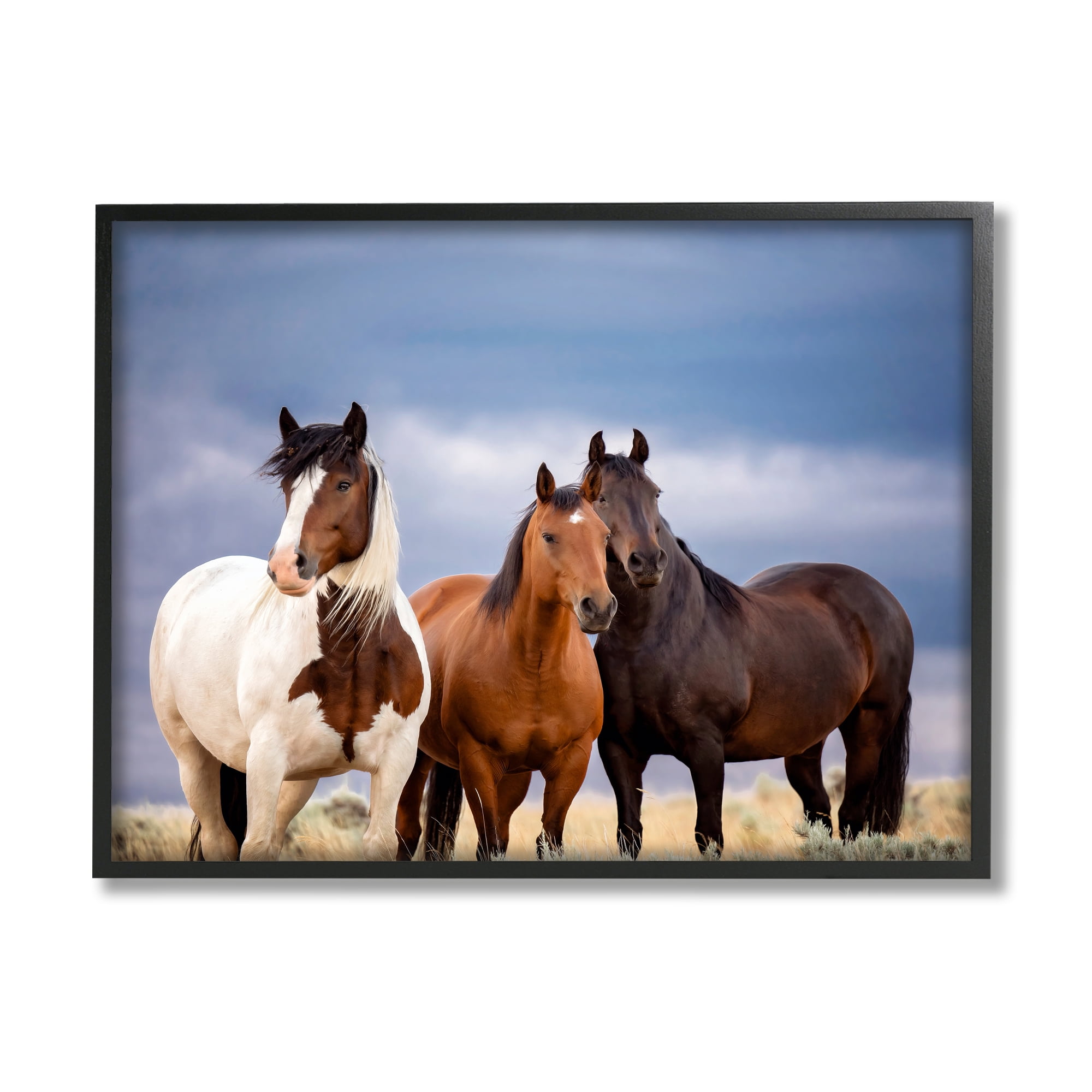Stupell Industries Horse Trio Under Clouds Animals & Insects Photography Black Framed Art Print Wall Art, 30 x 24