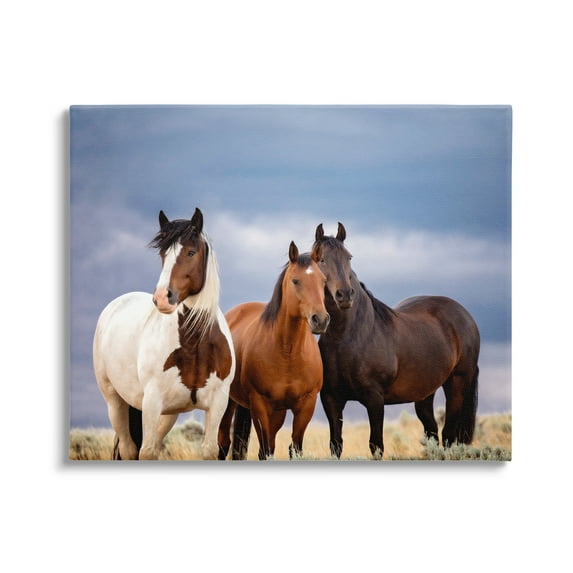 Stupell Industries Horse Trio Under Clouds Animals & Insects Photography Gallery Wrapped Canvas Art Print Wall Art, 30 x 24