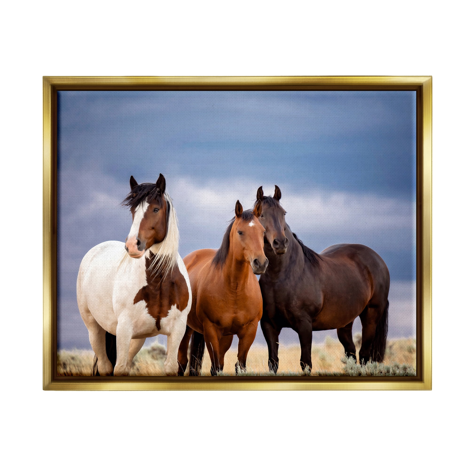 Stupell Industries Horse Trio Under Clouds Animals & Insects Photography Gold Floater Framed Canvas Art Print Wall Art, 21 x 17