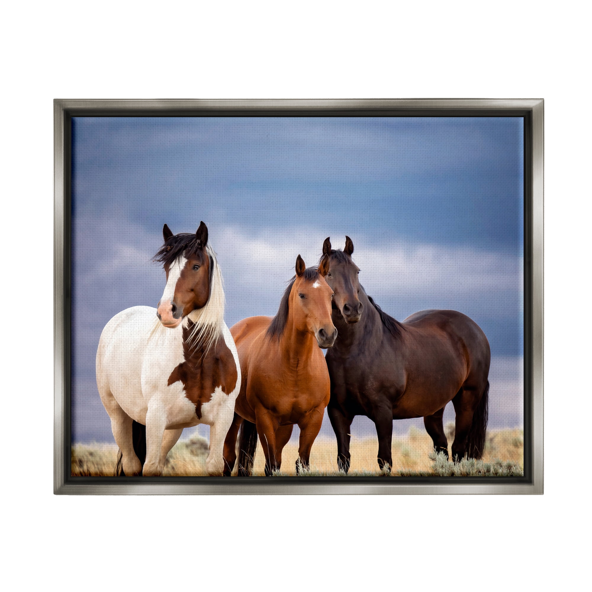 Stupell Industries Horse Trio Under Clouds Animals & Insects Photography Gray Floater Framed Canvas Art Print Wall Art, 31 x 25