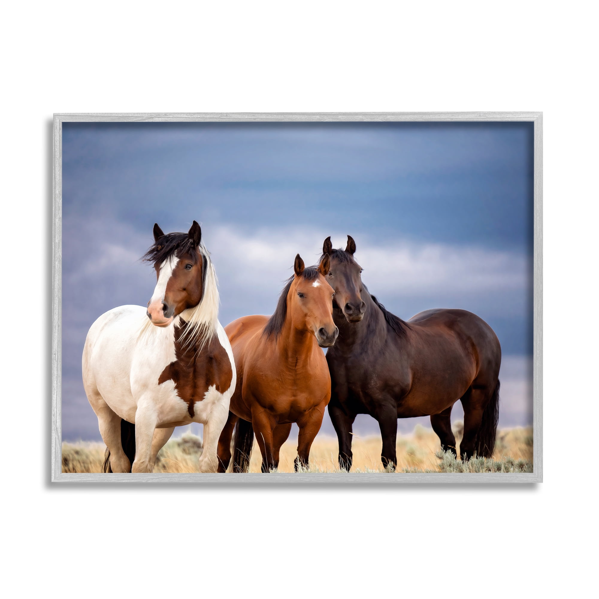 Stupell Industries Horse Trio Under Clouds Animals & Insects Photography Gray Framed Art Print Wall Art, 20 x 16