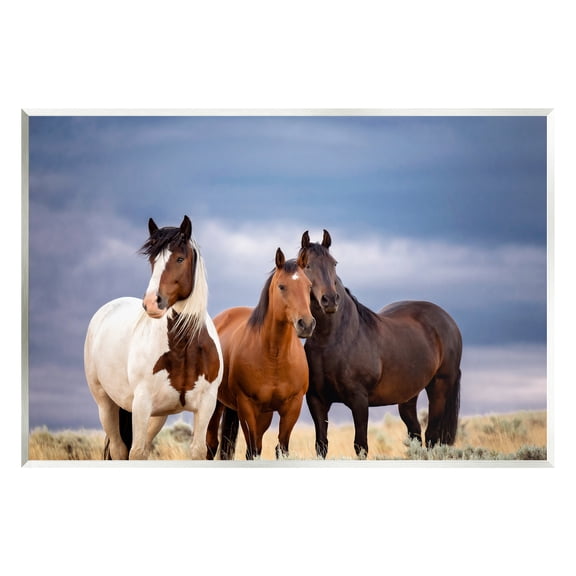 Stupell Industries Horse Trio Under Clouds Animals & Insects Photography Unframed Art Print Wall Art, 15 x 10