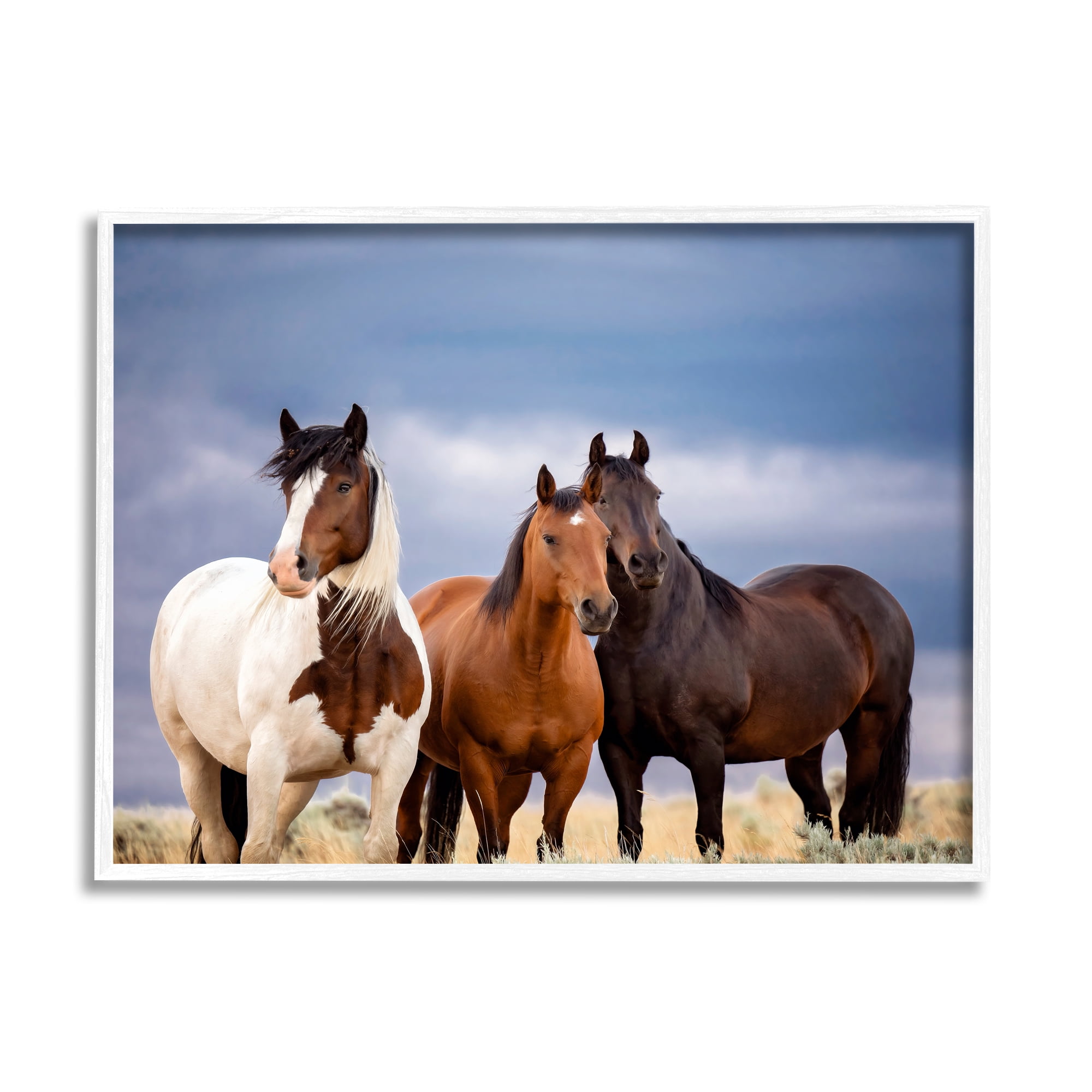 Stupell Industries Horse Trio Under Clouds Animals & Insects Photography White Framed Art Print Wall Art, 14 x 11