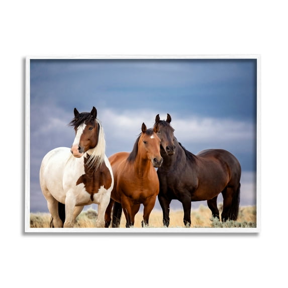 Stupell Industries Horse Trio Under Clouds Animals & Insects Photography White Framed Art Print Wall Art, 14 x 11