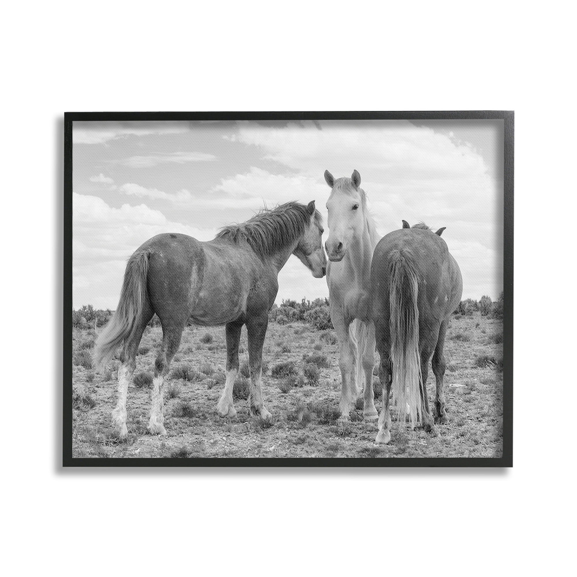 Stupell Industries Horse Trio in Desert Animals & Insects Photography Black Framed Art Print Wall Art, 20 x 16