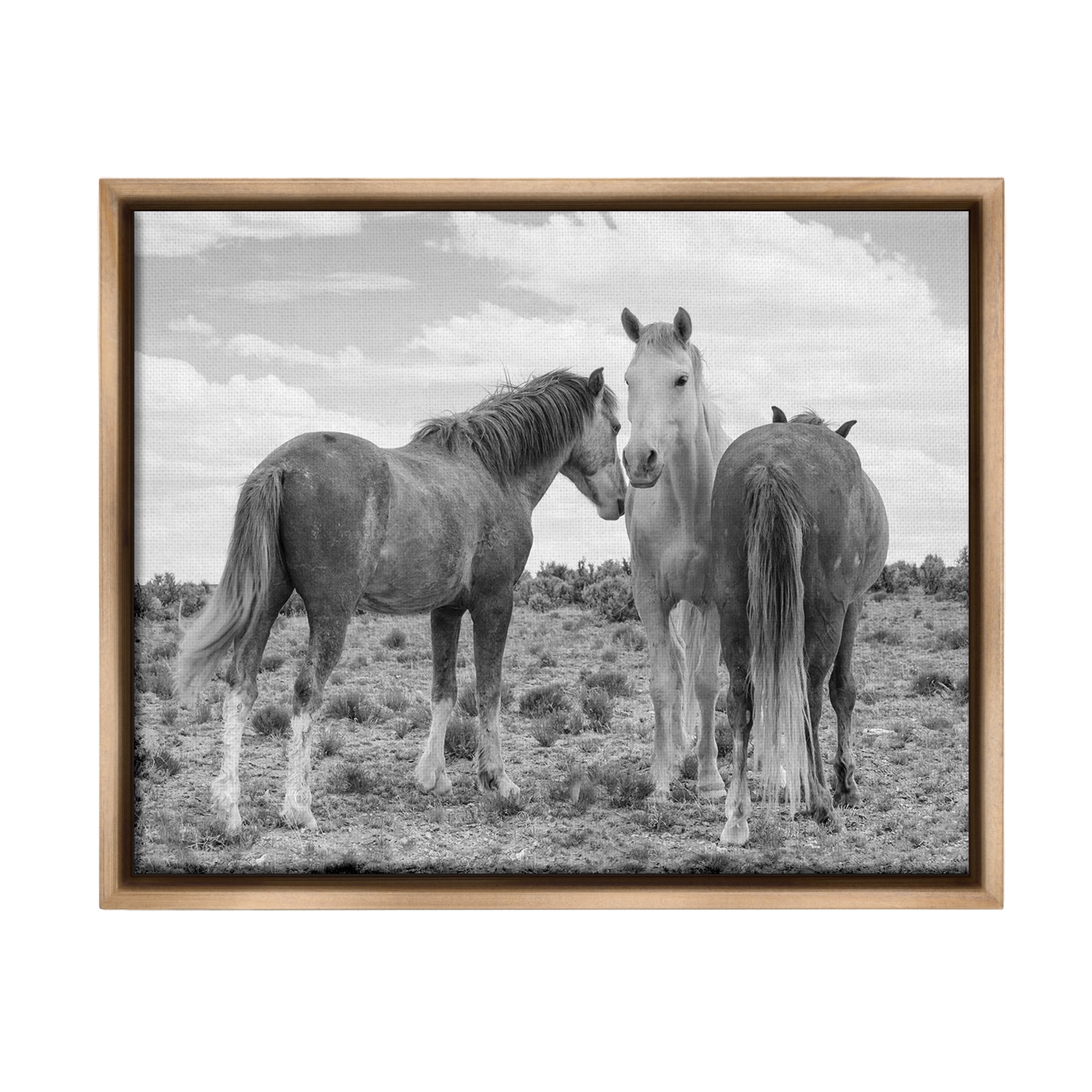 Stupell Industries Horse Trio in Desert Animals & Insects Photography Brown Floater Framed Canvas Art Print Wall Art, 31 x 25