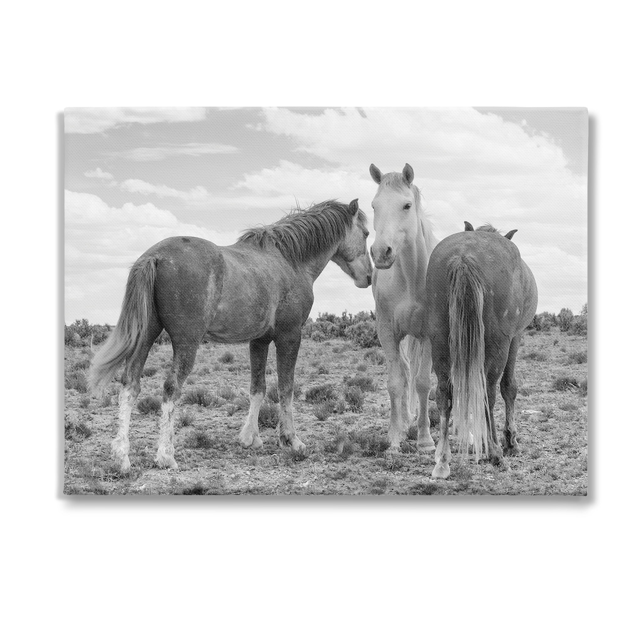 Stupell Industries Horse Trio in Desert Animals & Insects Photography Gallery Wrapped Canvas Art Print Wall Art, 48 x 36