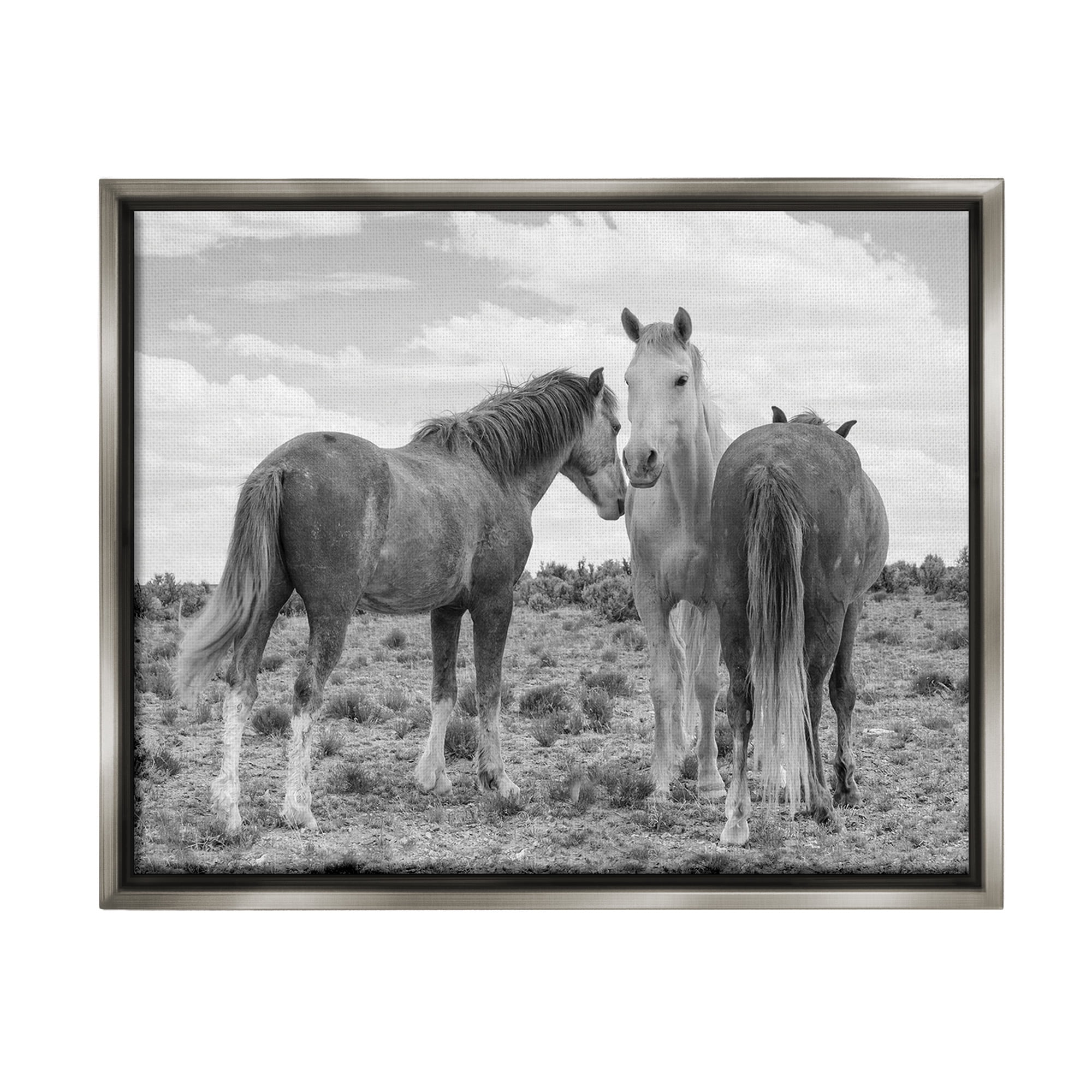 Stupell Industries Horse Trio in Desert Animals & Insects Photography Gray Floater Framed Canvas Art Print Wall Art, 31 x 25