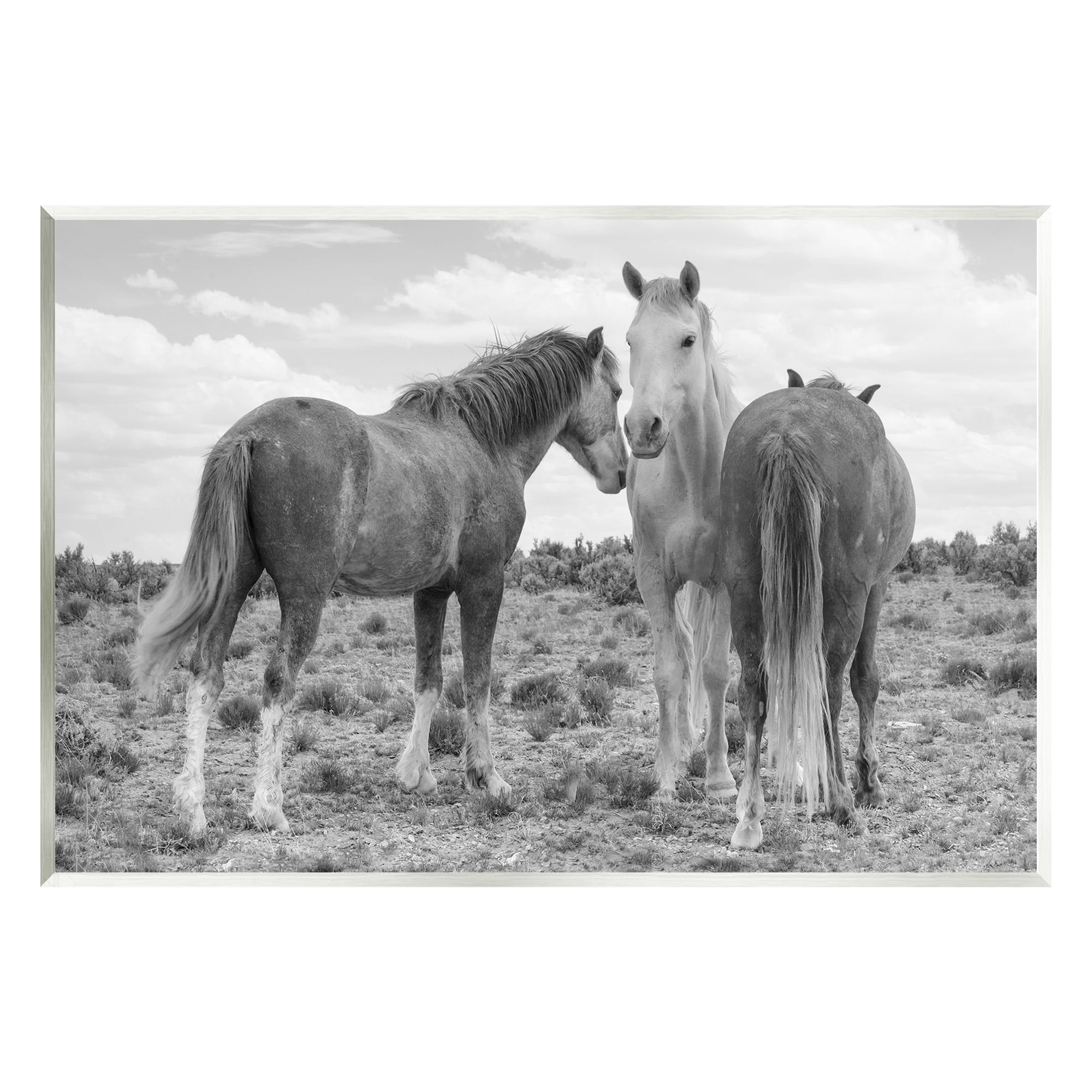 Stupell Industries Horse Trio in Desert Animals & Insects Photography Unframed Art Print Wall Art, 19 x 13