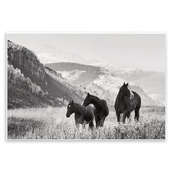 Stupell Industries Horse Trio on Mountainside Landscape & Nature Photography Unframed Art Print Wall Art, 15 x 10