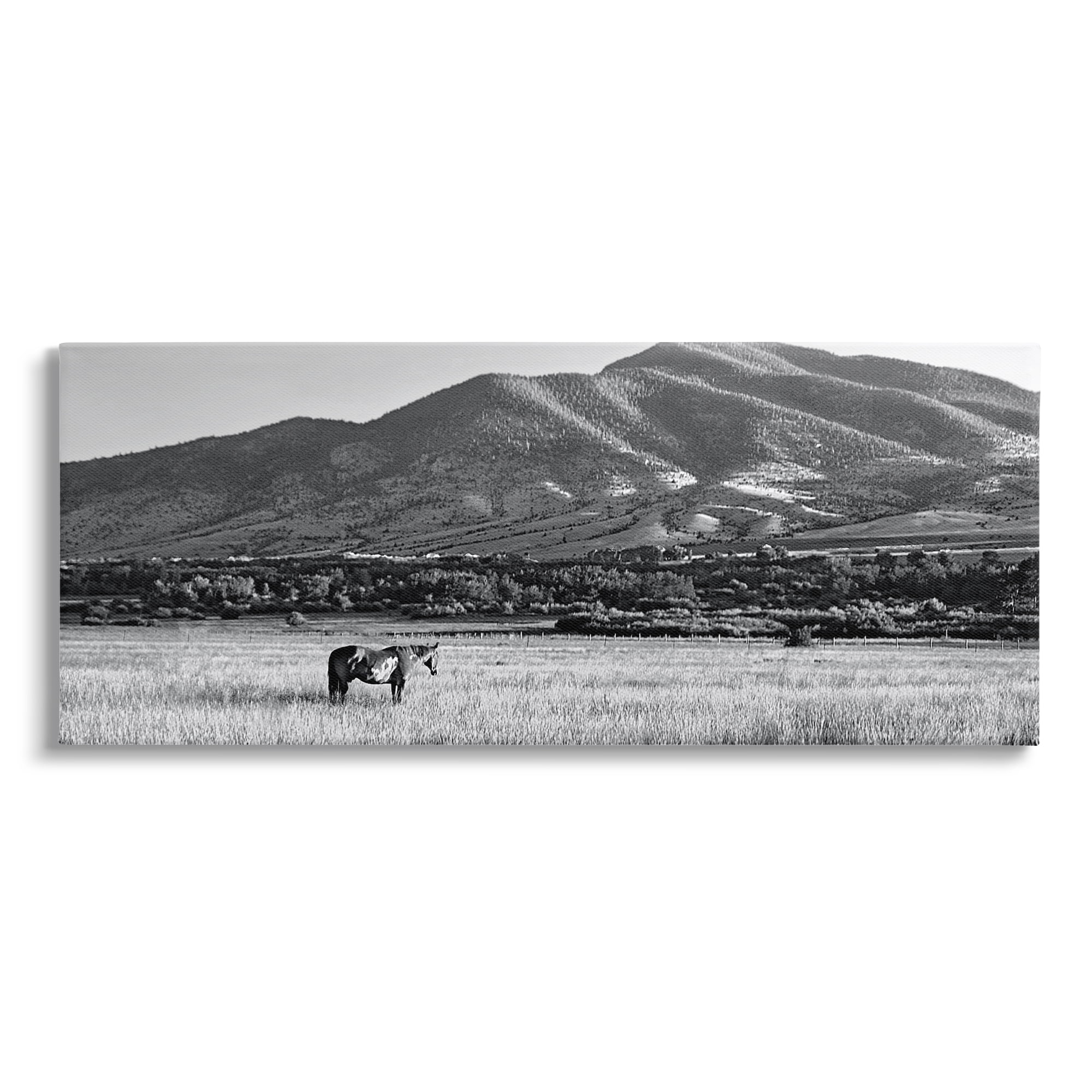 Stupell Industries Horse in Mountains Landscape Photography Gallery Wrapped Canvas Art Print Wall Art, 30 x 13
