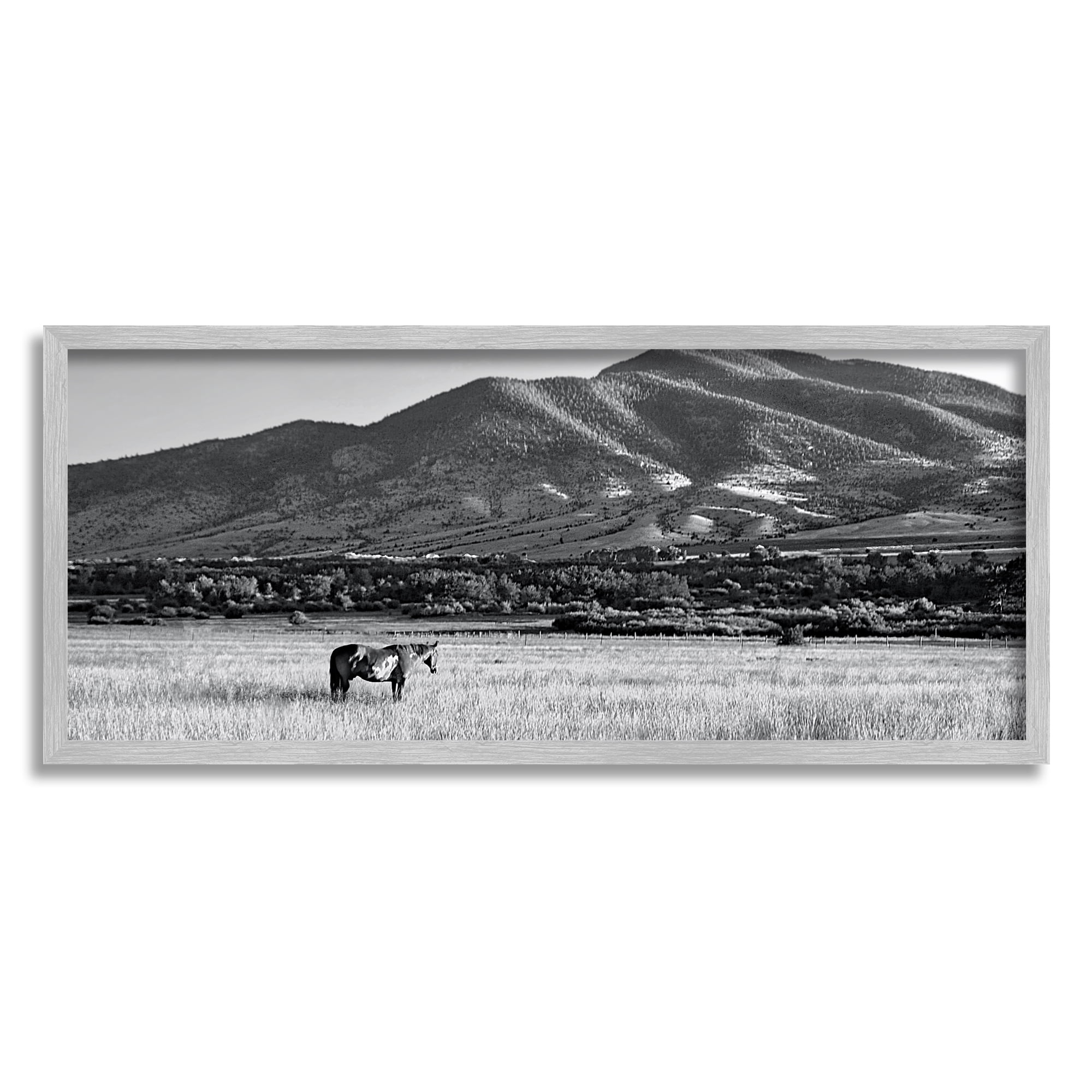 Stupell Industries Horse in Mountains Landscape Photography Gray Framed Art Print Wall Art, 24 x 10
