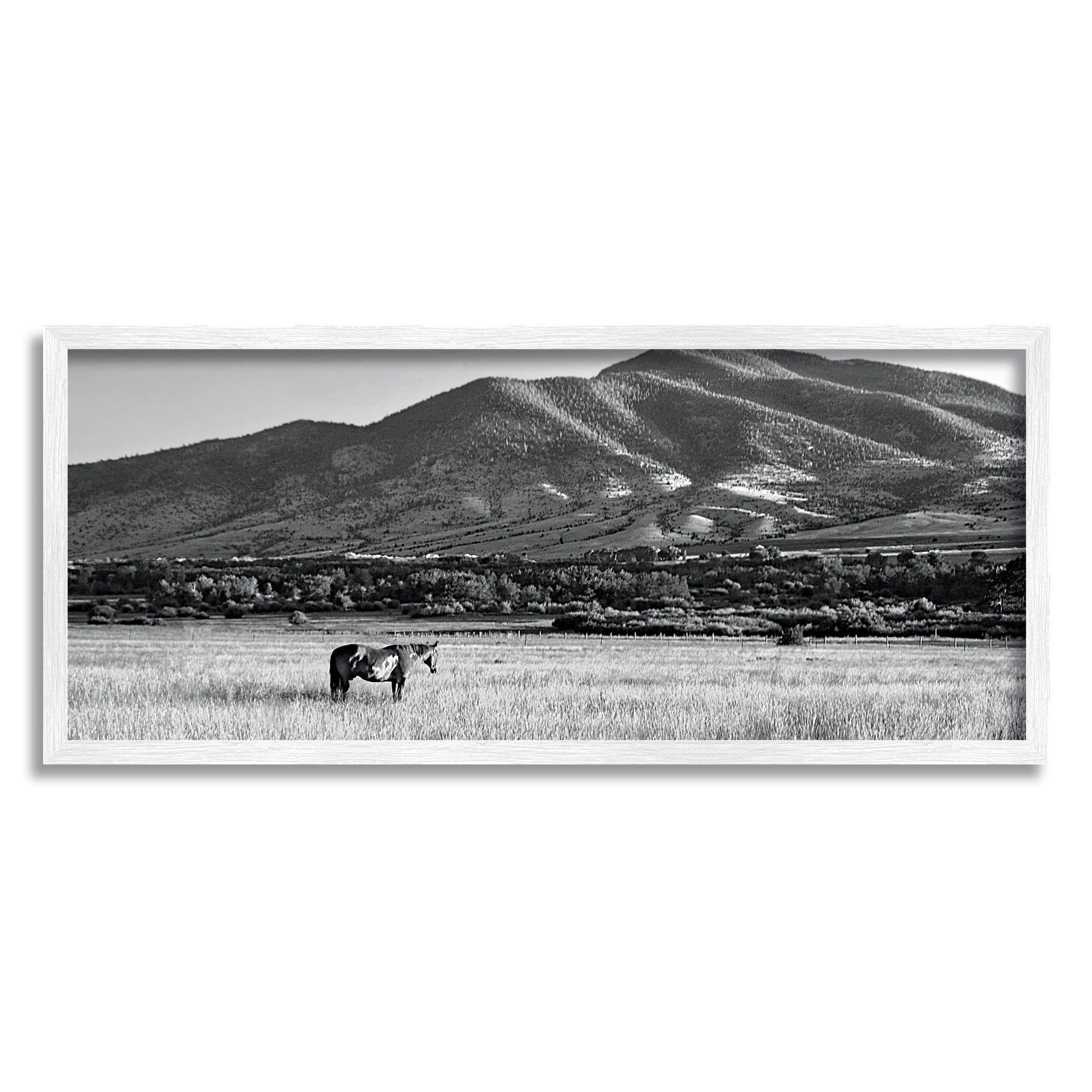 Stupell Industries Horse in Mountains Landscape Photography White Framed Art Print Wall Art, 24 x 10