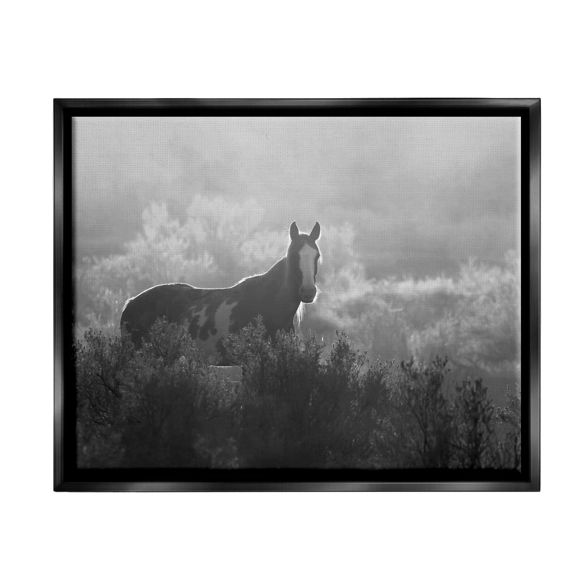 Stupell Industries Horse in Nature Trees Landscape Photography Black Floater Framed Canvas Art Print Wall Art, 31 x 25