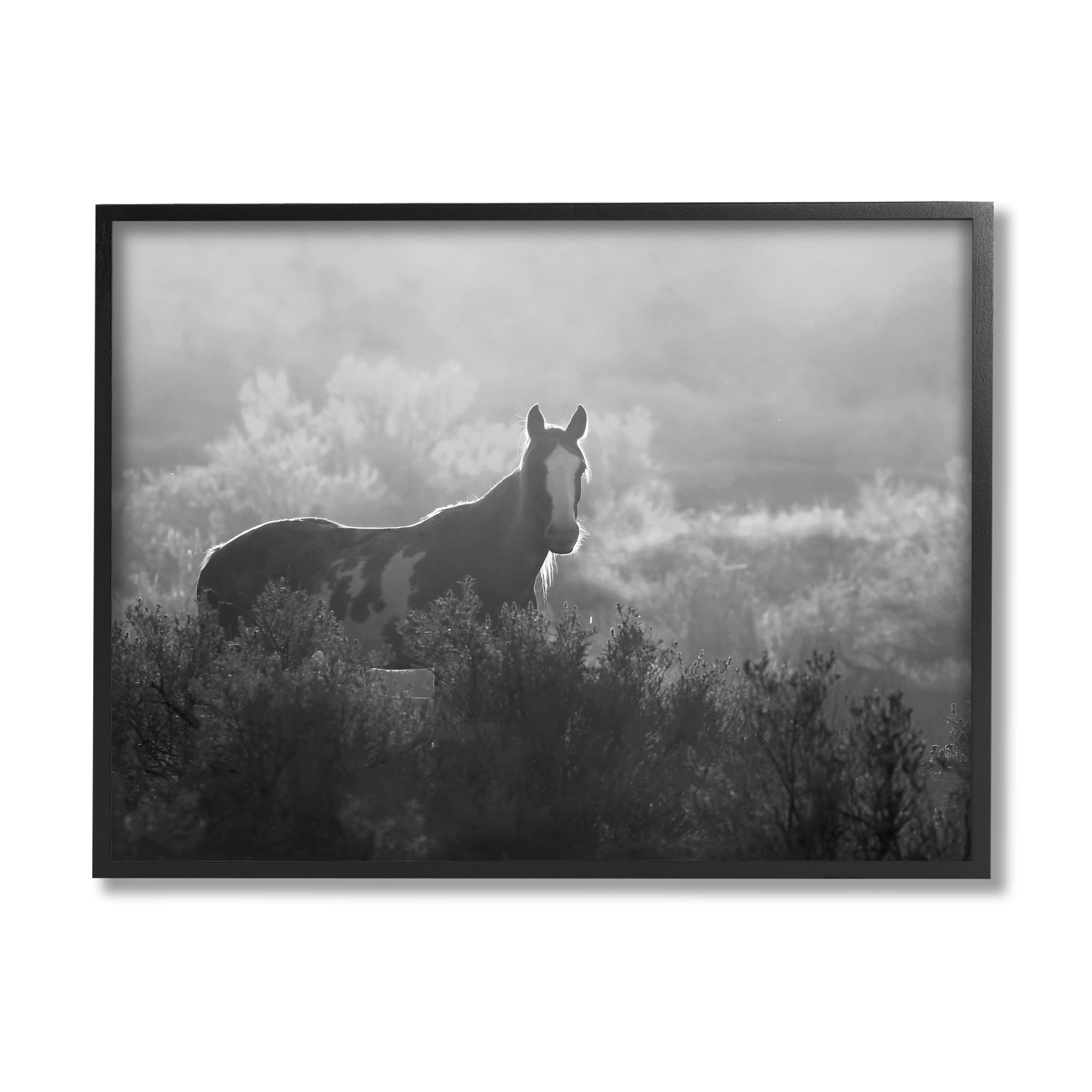 Stupell Industries Horse in Nature Trees Landscape Photography Black Framed Art Print Wall Art, 30 x 24