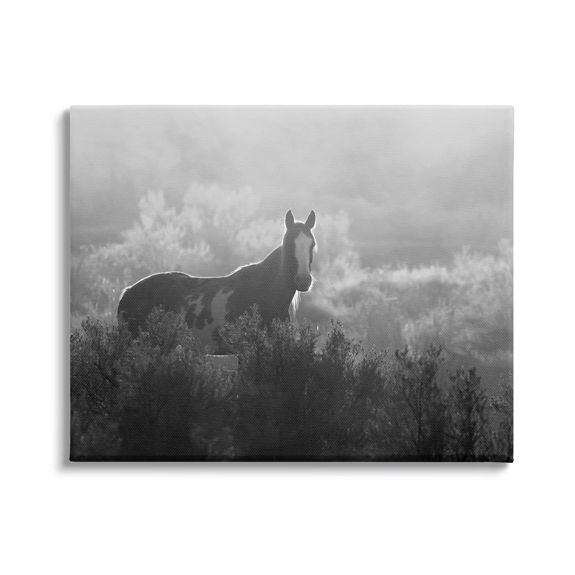 Stupell Industries Horse in Nature Trees Landscape Photography Gallery Wrapped Canvas Art Print Wall Art, 20 x 16