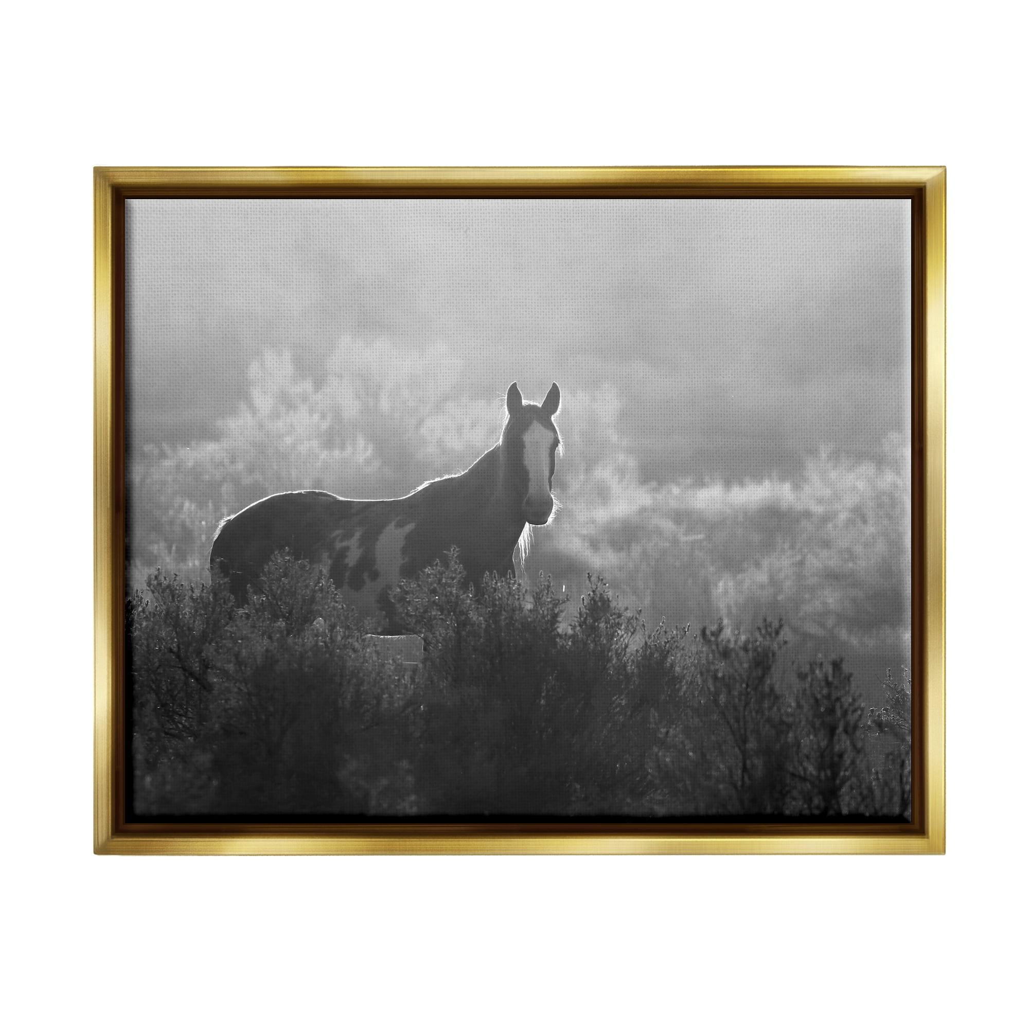Stupell Industries Horse in Nature Trees Landscape Photography Gold Floater Framed Canvas Art Print Wall Art, 21 x 17