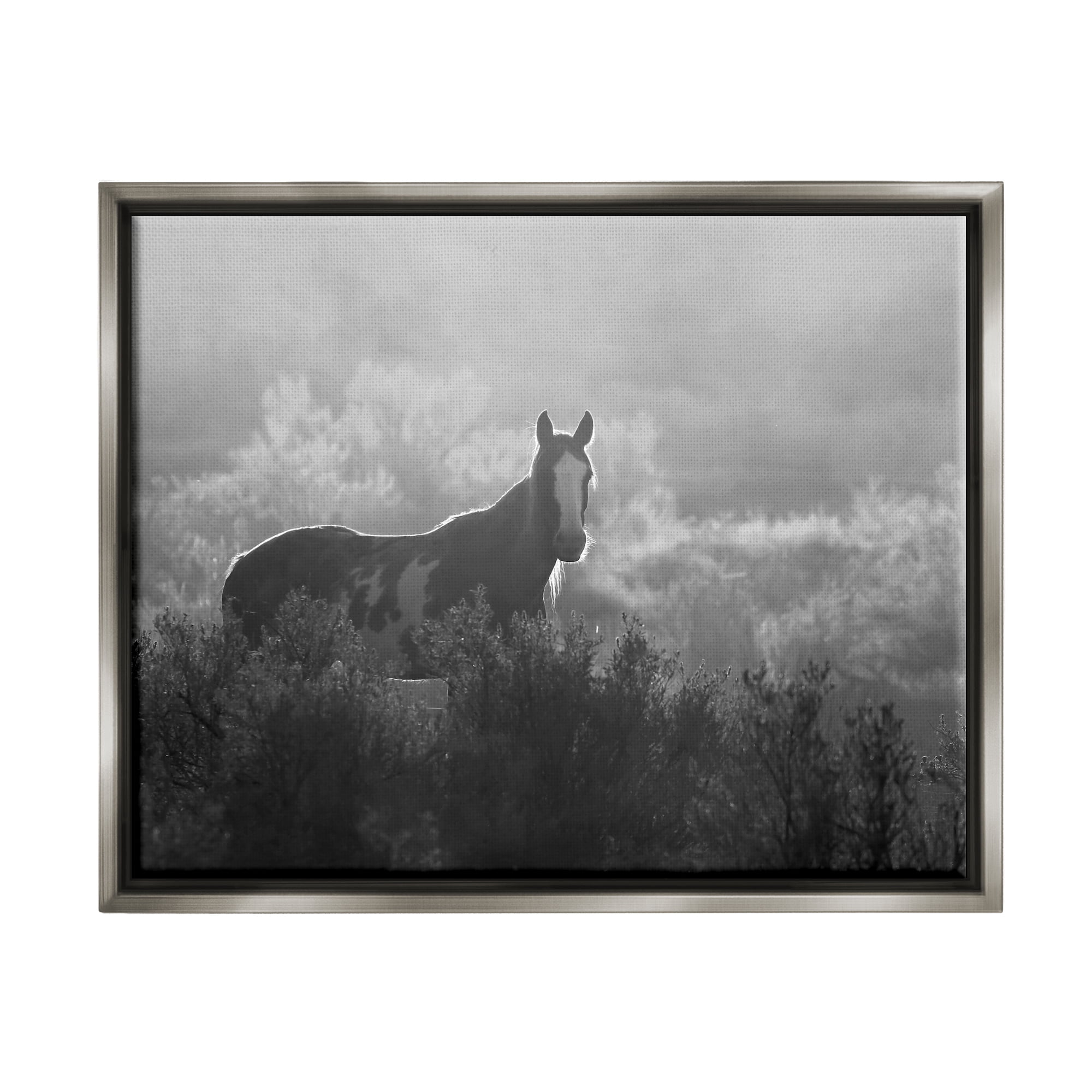 Stupell Industries Horse in Nature Trees Landscape Photography Gray Floater Framed Canvas Art Print Wall Art, 31 x 25