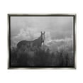 thumbnail image 1 of Stupell Industries Horse in Nature Trees Landscape Photography Gray Floater Framed Canvas Art Print Wall Art, 31 x 25, 1 of 10