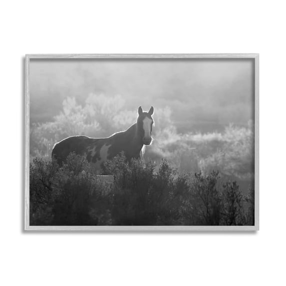 Stupell Industries Horse in Nature Trees Landscape Photography Gray Framed Art Print Wall Art, 14 x 11