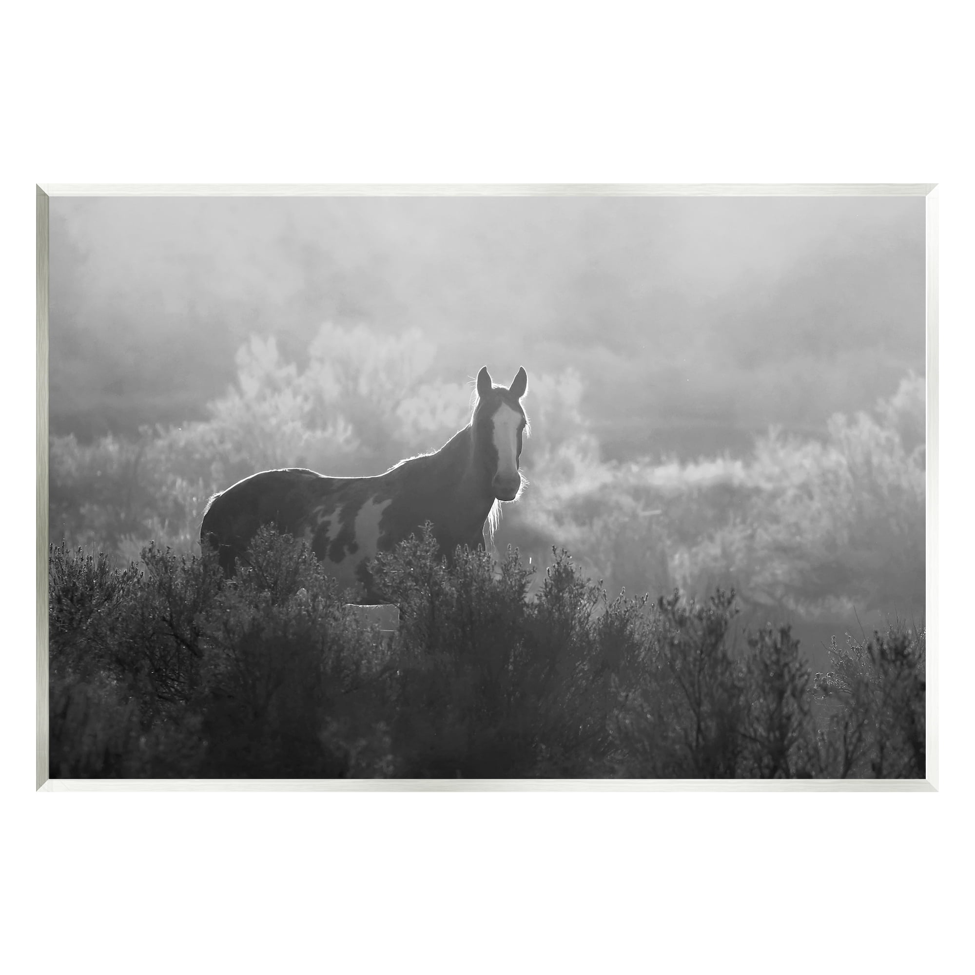 Stupell Industries Horse in Nature Trees Landscape Photography Unframed Art Print Wall Art, 19 x 13