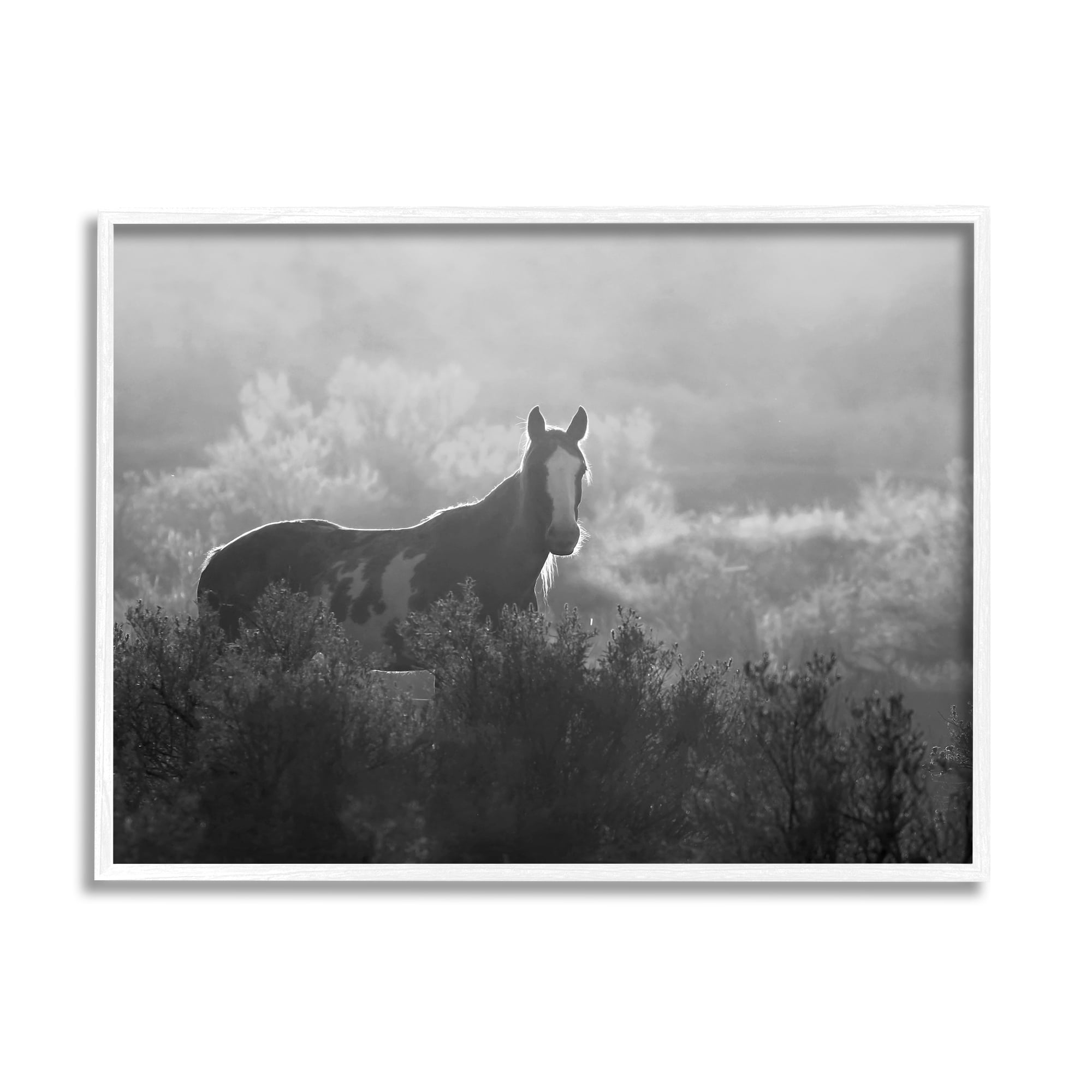 Stupell Industries Horse in Nature Trees Landscape Photography White Framed Art Print Wall Art, 14 x 11