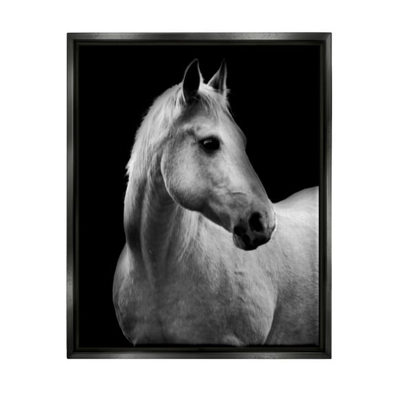 Stupell Industries Horse on Black Portrait Animals & Insects Photography Black Floater Framed Canvas Art Print Wall Art, 17 x 21