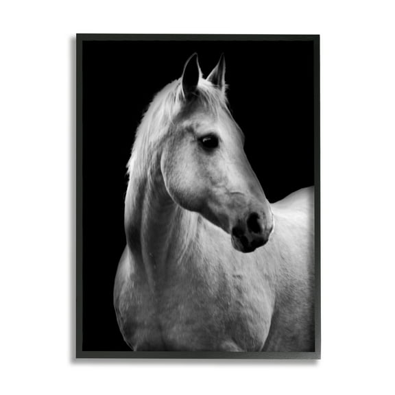 Stupell Industries Horse on Black Portrait Animals & Insects Photography Black Framed Art Print Wall Art, 11 x 14
