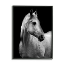 Stupell Industries Horse on Black Portrait Animals & Insects Photography Black Framed Art Print Wall Art, 11 x 14