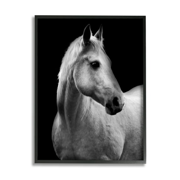Stupell Industries Horse on Black Portrait Animals & Insects Photography Black Framed Art Print Wall Art, 16 x 20
