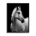 thumbnail image 1 of Stupell Industries Horse on Black Portrait Animals & Insects Photography Black Framed Art Print Wall Art, 24 x 30, 1 of 9