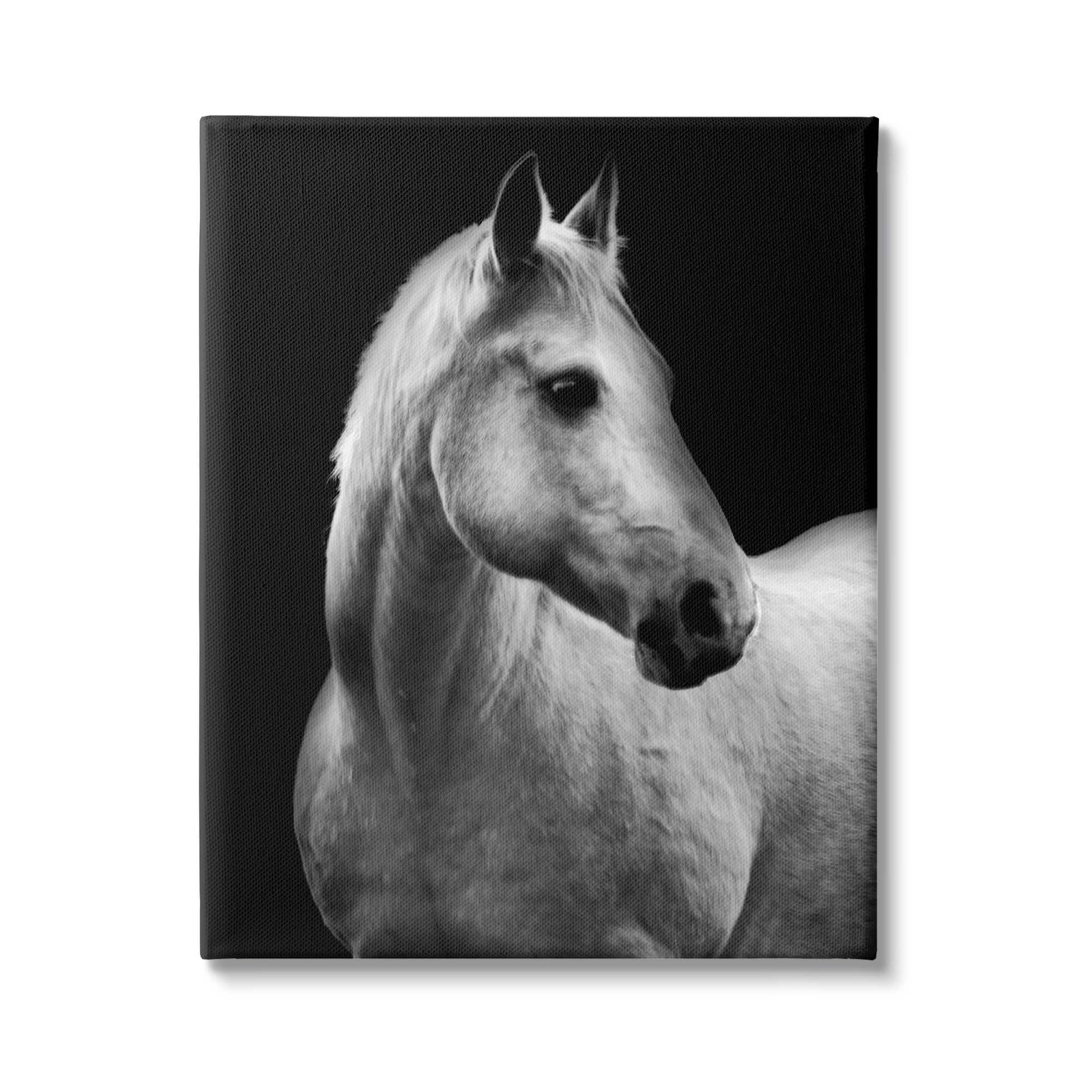Stupell Industries Horse on Black Portrait Animals & Insects Photography Gallery Wrapped Canvas Art Print Wall Art, 36 x 48
