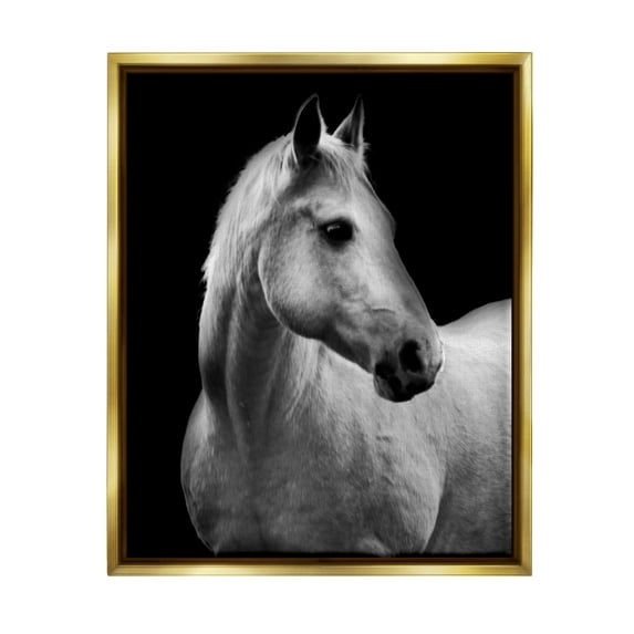 Stupell Industries Horse on Black Portrait Animals & Insects Photography Gold Floater Framed Canvas Art Print Wall Art, 25 x 31