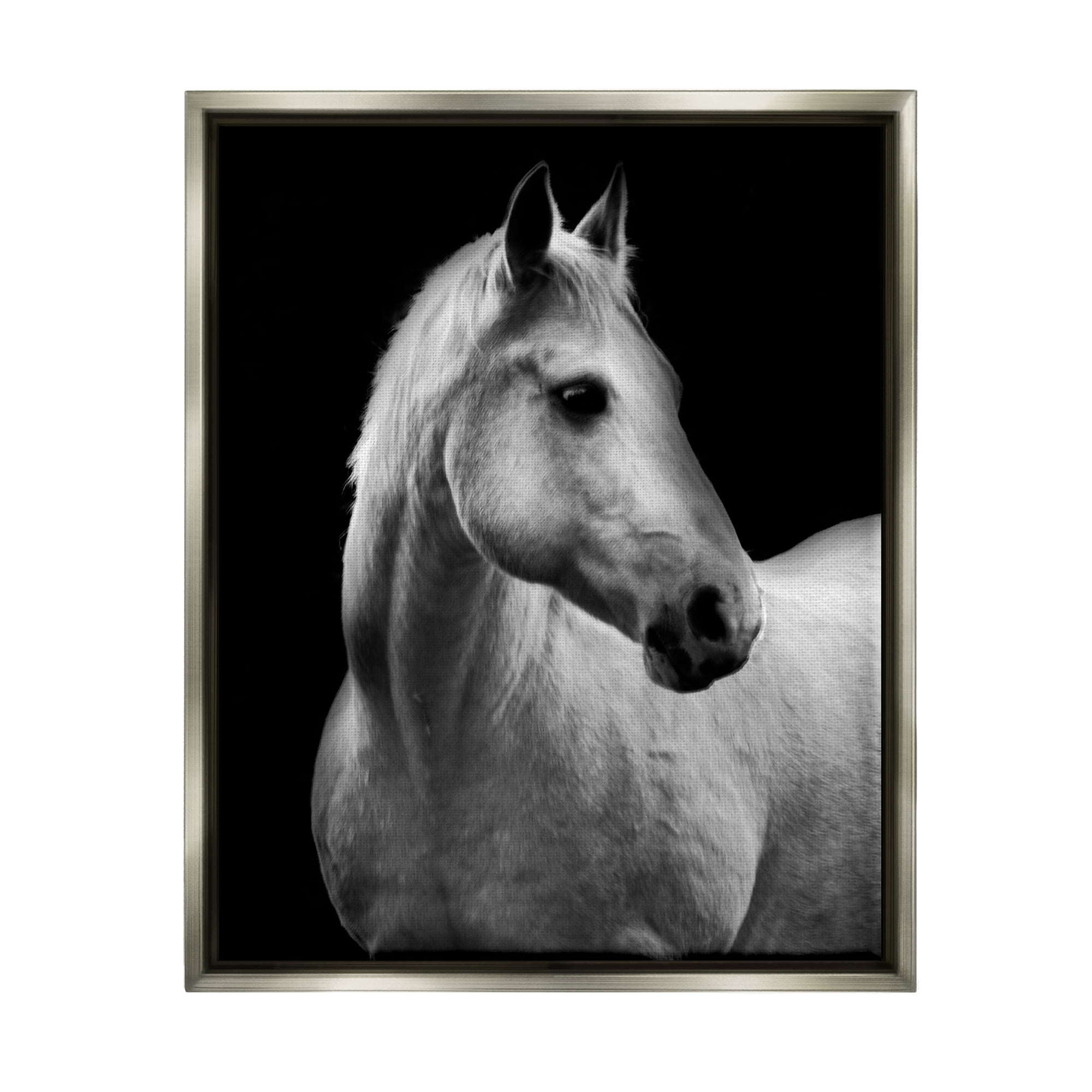Stupell Industries Horse on Black Portrait Animals & Insects Photography Gray Floater Framed Canvas Art Print Wall Art, 25 x 31