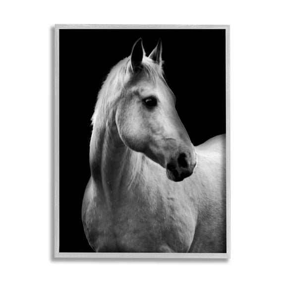 Stupell Industries Horse on Black Portrait Animals & Insects Photography Gray Framed Art Print Wall Art, 11 x 14