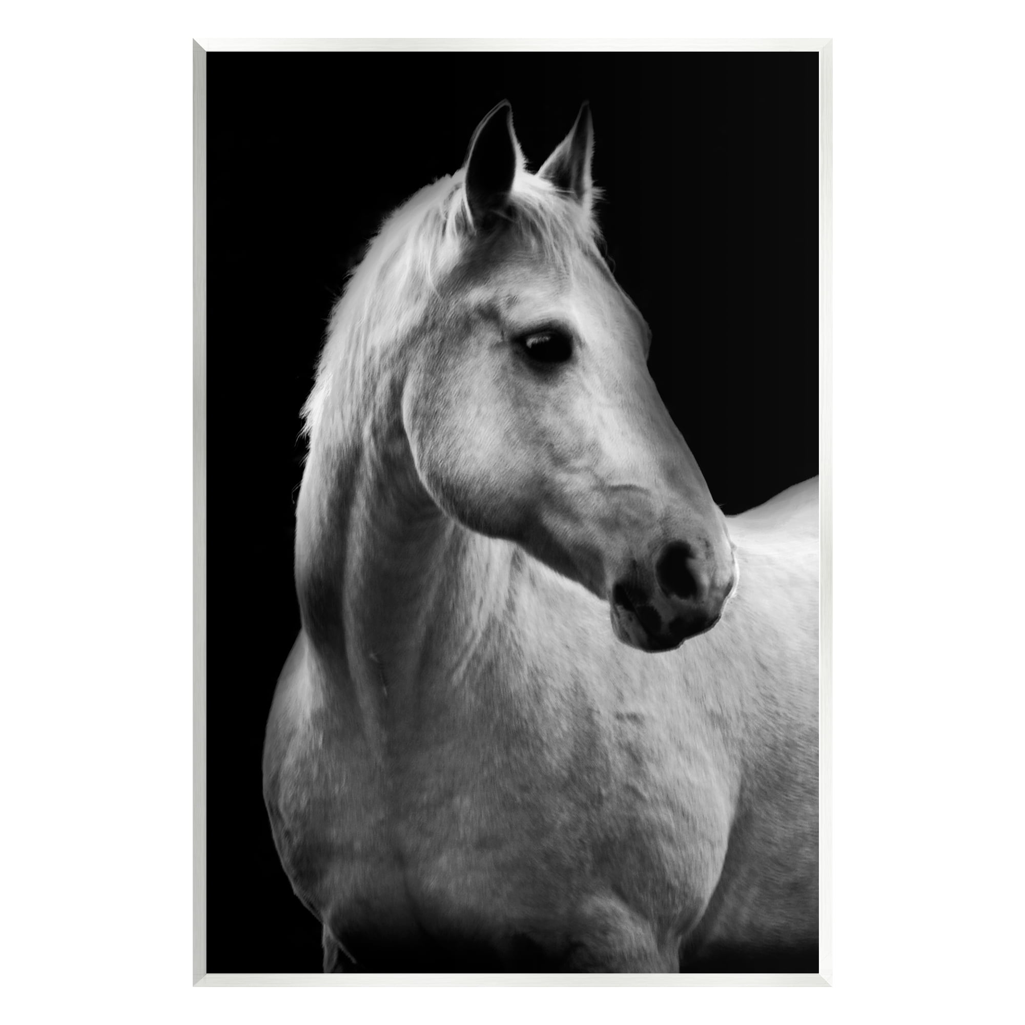 Stupell Industries Horse on Black Portrait Animals & Insects Photography Unframed Art Print Wall Art, 13 x 19