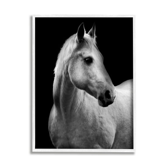 Stupell Industries Horse on Black Portrait Animals & Insects Photography White Framed Art Print Wall Art, 16 x 20