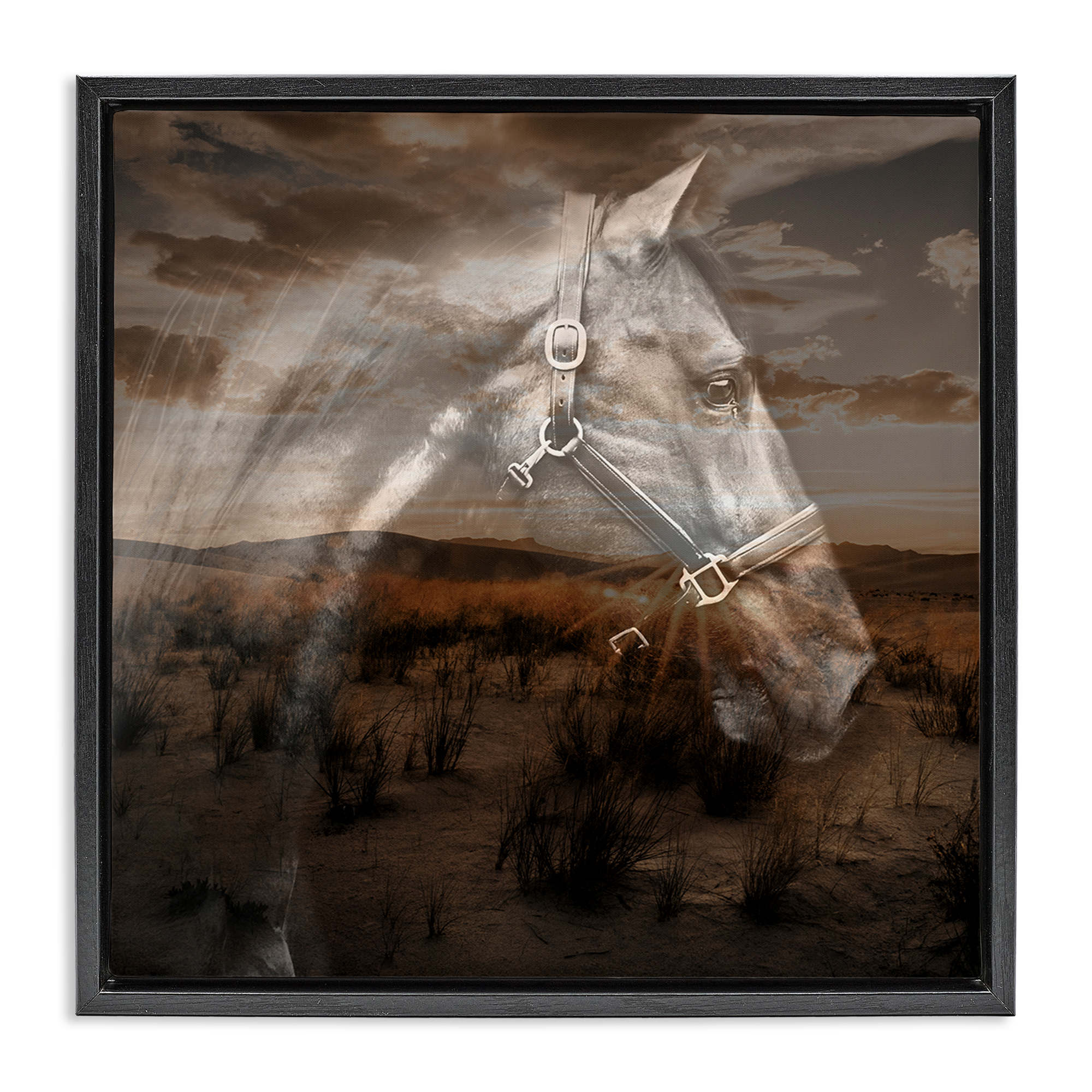 Stupell Industries Horse over Nature Visage Animals Painting Black Floater Framed Canvas Art Print Wall Art, 25 x 25