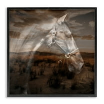 Stupell Industries Horse over Nature Visage Animals Painting Black Framed Art Print Wall Art, 12 x 12