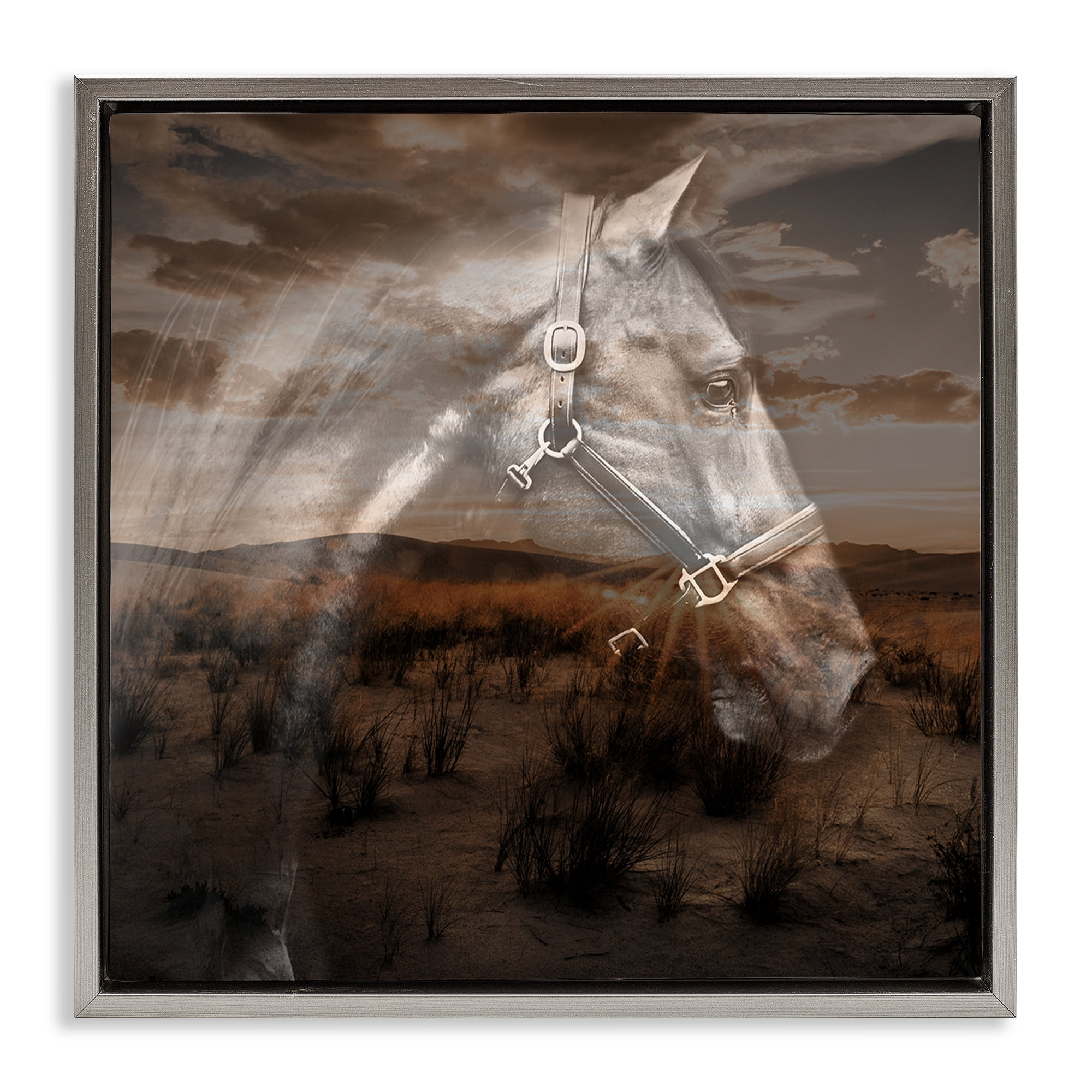 Stupell Industries Horse over Nature Visage Animals Painting Gray Floater Framed Canvas Art Print Wall Art, 25 x 25