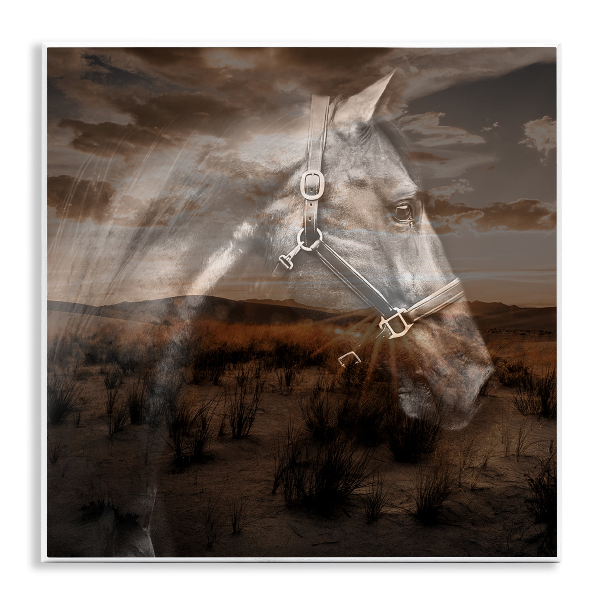 Stupell Industries Horse over Nature Visage Animals Painting Unframed Art Print Wall Art, 12 x 12