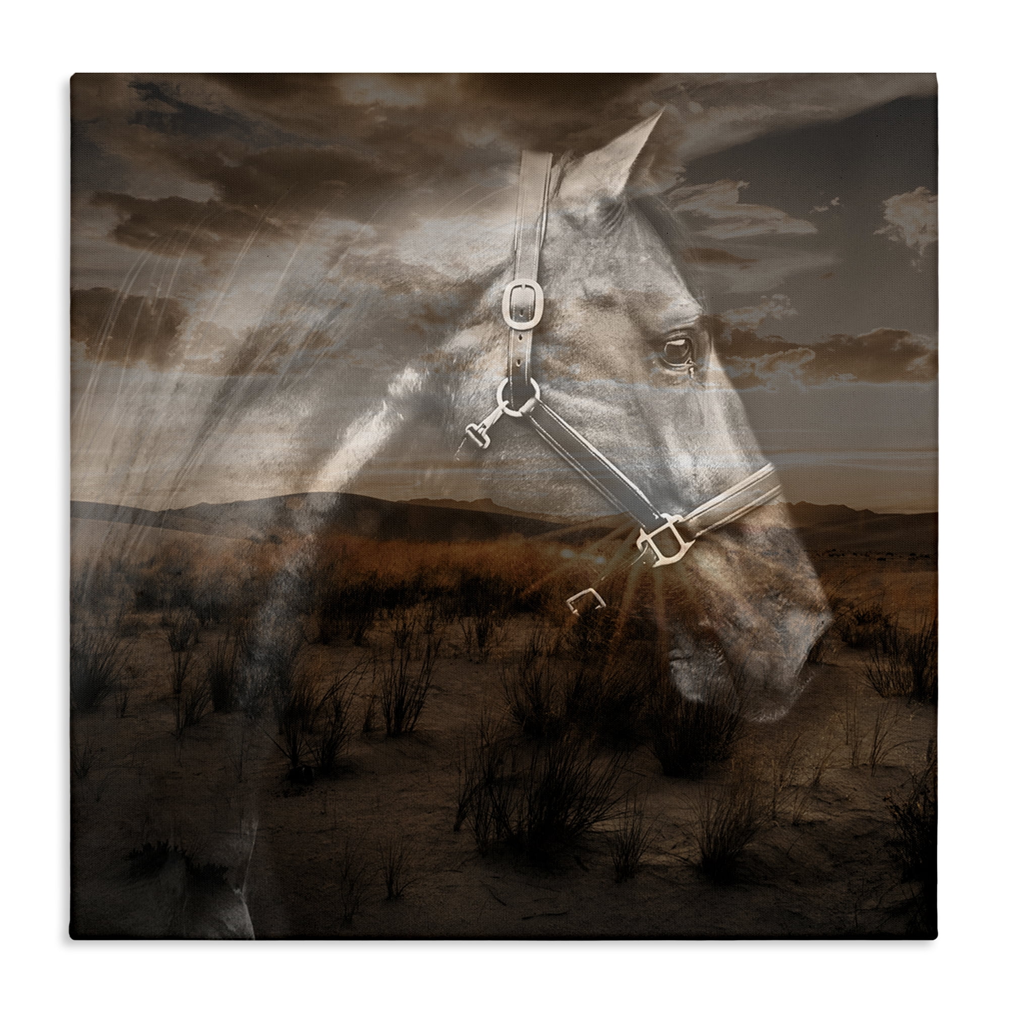 Stupell Industries Horse over Nature Visage Animals Painting Wrapped Canvas Art Print Wall Art, 30 x 30