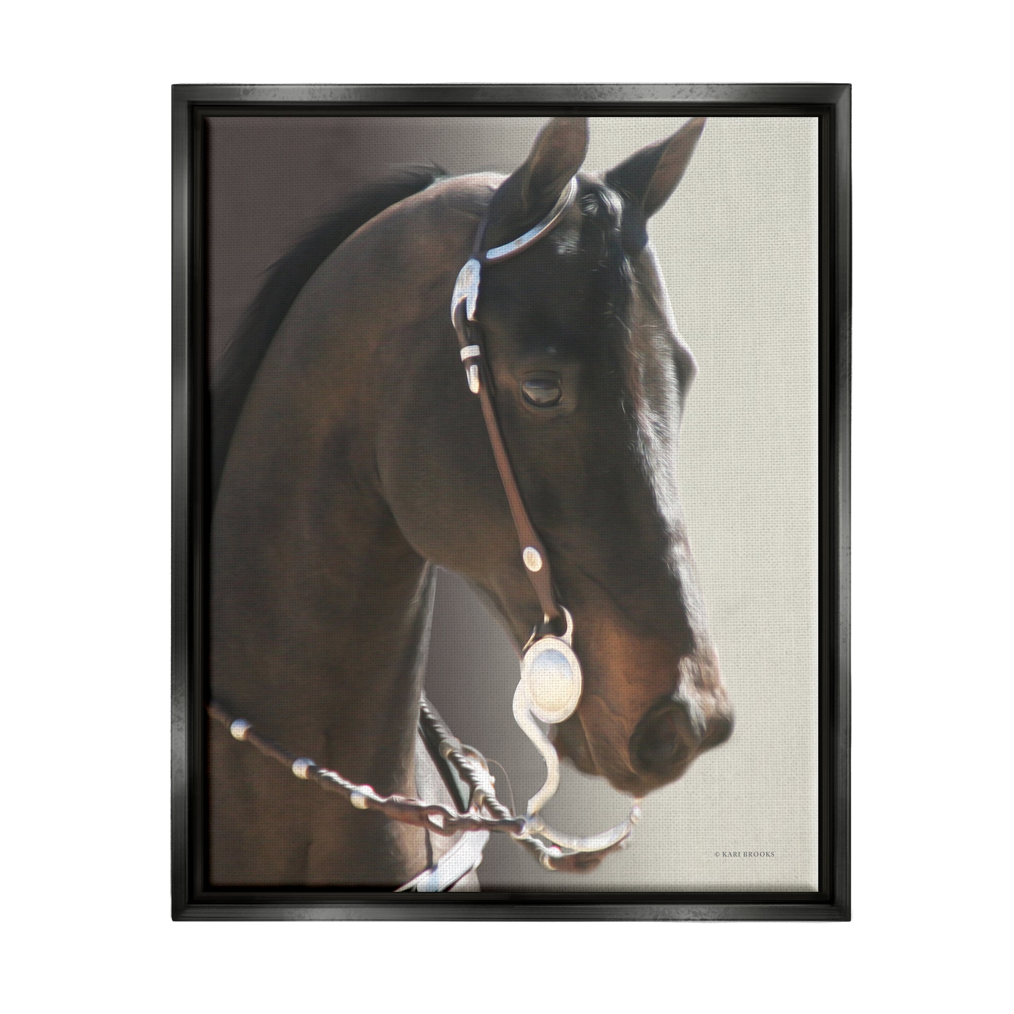 Stupell Industries Horse with Bridle Animals & Insects Photography Black Floater Framed Canvas Art Print Wall Art, 17 x 21