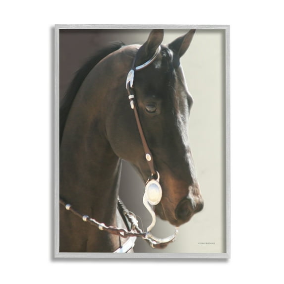 Stupell Industries Horse with Bridle Animals & Insects Photography Gray Framed Art Print Wall Art, 11 x 14