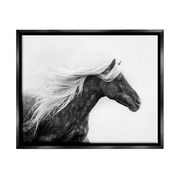 Stupell Industries Horse with White Mane Animals & Insects Photography Black Floater Framed Canvas Art Print Wall Art, 21 x 17